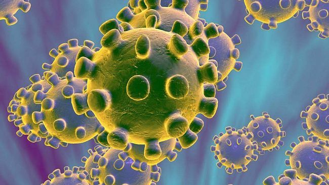 Coronavirus, il dettaglio dei comuni della provincia di Trapani. Effettuati 1385 tamponi