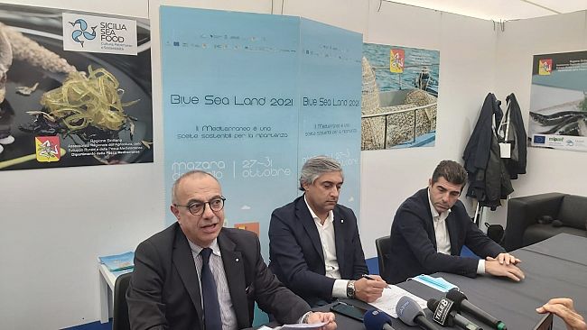Blue Sea Land chiude i battenti, Carlino e Scilla tracciano un bilancio