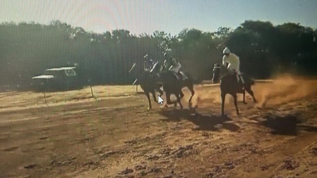 Ippodromo clandestino a Triscina, gare con cavalli che arrivano da tutta la Sicilia