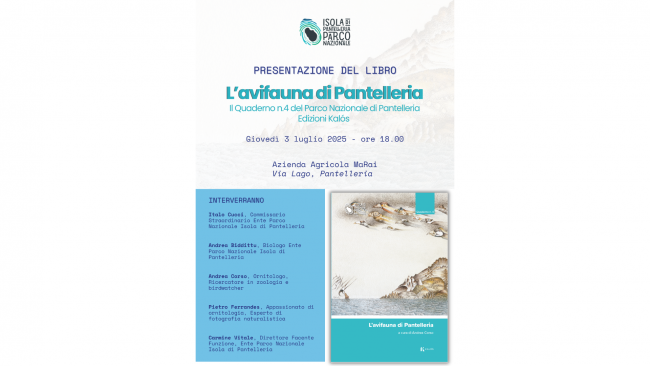 L’avifauna di Pantelleria:  il Parco Nazionale presenta il Quaderno n.4 dedicato alla ricchezza ornitologica dell’isola