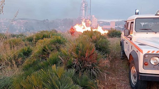 Iniziano gli incendi prima dell'estate, domate fiamme a Valderice