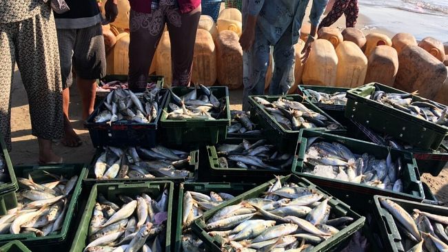 ​A pieno regime l’attività del Progetto Blockchain – Mare Nostrum 