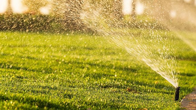 Consorzio di Bonfica ancora immobile e gli agricoltori sono preoccupati
