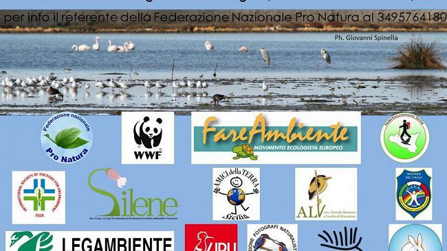 Dragaggio porto canale, e venne il giorno degli ambientalisti: manifestazione “per salvare la laguna/Colmata B di Tonnarella”