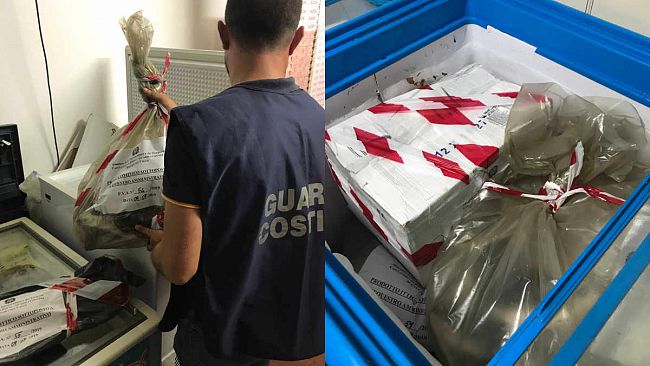 Tre Fontane, la Guardia costiera sequestra prodotti ittici. Sanzioni per 13mila euro