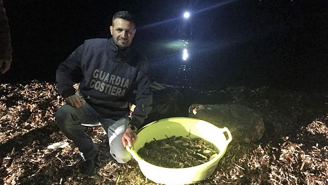 Trapani: Azione di contrasto alla pesca delle Oloturie