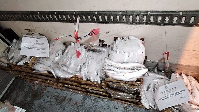 Trapani, sequestrati 145 kg. di prodotti ittici privi di tracciabilità