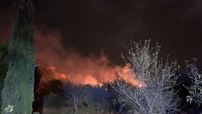 Custonaci, incendio in contrada Assieni