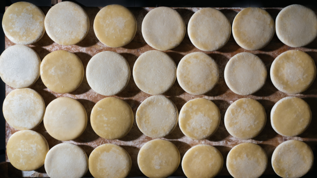 Gibellina, si è tenuto l'evento che celebra la vastedda DOP della Valle del Belice