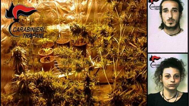 Castelvetrano: Carabinieri arrestano coppia per detenzione e coltivazione di sostanza stupefacente.