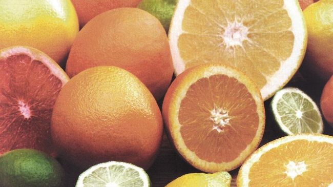 Sicilia: Tristezza e prezzi in calo… fondamentale una revisione