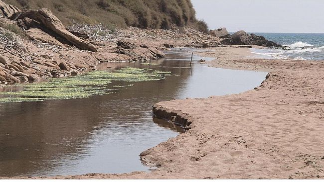 Sabato al Gioventù si presenta il libro di Paola Grassa ” Il sogno di Giona”