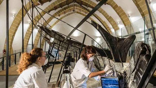 Marsala, domani l’inaugurazione del Museo Lilibeo dopo il restyling sponsorizzato da Cantine Pellegrino