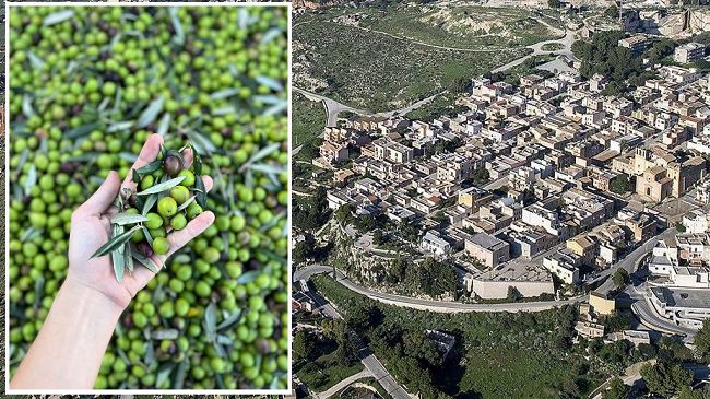 custonaci-aderisce-al-progetto-comunita-dellolio