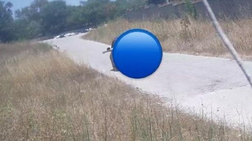 Mazara, appicca incendio in un'area adiacente il Cimitero: 
