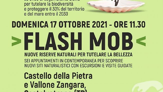 Flash Mob per Castello della Pietra e Vallone di Zangara a Castelvetrano 