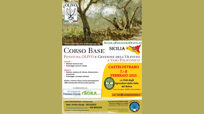 La Valle del Belice ospita un importante evento dedicato all’olivo e all’olivicoltura