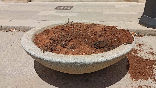 Trapani, il Comune mette in mora e diffida ditta affidataria verde pubblico