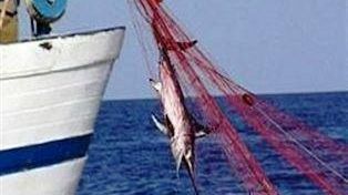 Pesca. Maxi-truffa sui fondi UE destinati ai pescatori del catanese e finiti nella mani dei colletti bianchi