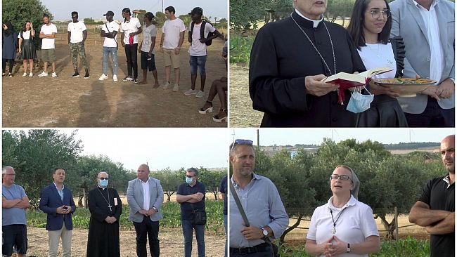 Mazara, si inaugura con il primo raccolto la cooperativa “Terre senza Frontiere”