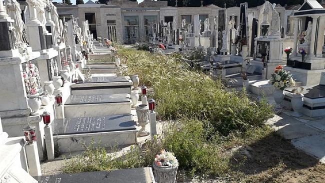 VIDEO- Il cimitero da pulire per restituire dignità ad un luogo sacro