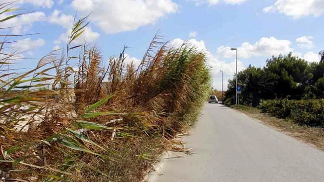 Litorale Stagnone: il Sindaco Di Girolamo richiede interventi urgenti di manutenzione delle strade