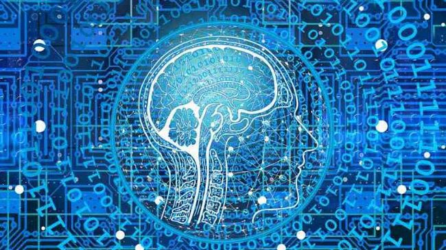 “Una punta di Sal”. Emergenza e sorveglianza con il covid-19. C’è però il rovescio della medaglia…