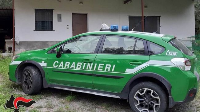 Pantelleria: gestione illecita di rifiuti speciali.Denunciato imprenditore edile