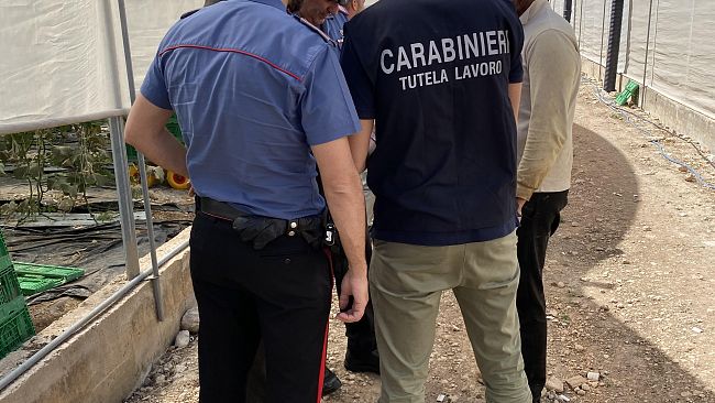 lavoro-nero-e-sicurezza-irregolari-tutte-le-18-aziende-agricole-ispezionate-nel-palermitano