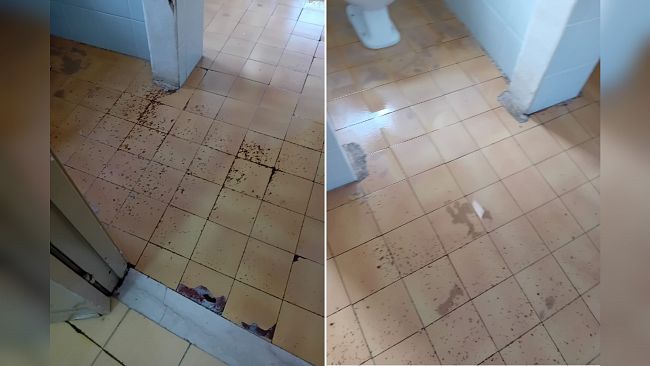 Favignana, consigliere Sammartano: 