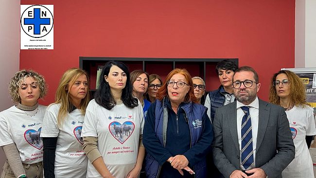 Enpa Mazara lancia un nuovo appello: 