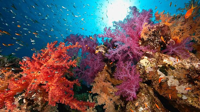 “Un mare di Turismo”