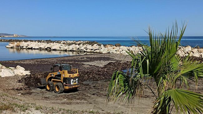 Trapani, avviata la rimozione delle alghe dalla spiaggia