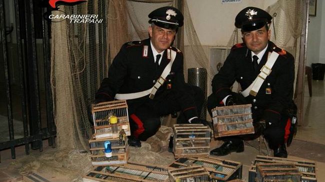 Salaparuta: i Carabinieri mettono in salvo 40 esemplari di volatili vittime di maltrattamenti