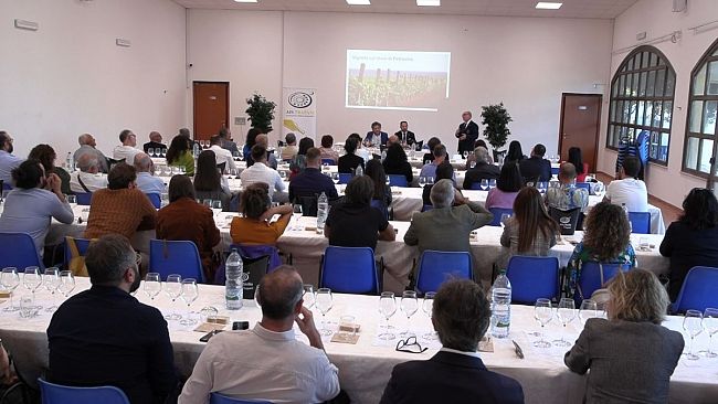 Petrosino, tutto pronto per la seconda edizione di Vino Vivo 2025