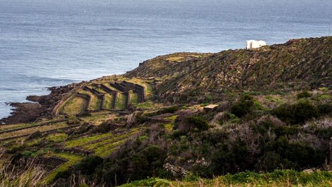 Il Parco Nazionale di Pantelleria nel progetto SCREENBIO – 5 Terre 
