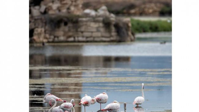 Mazara, contest “La foto della settimana”: ecco lo scatto vincente