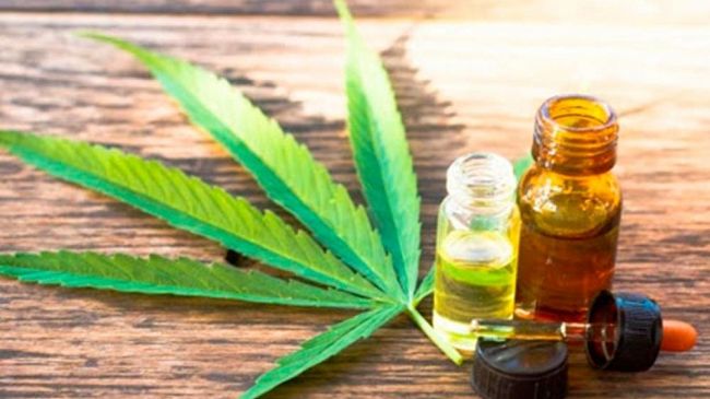 Uso di farmaci a base di cannabis, mozione del consigliere comunale Giorgio Randazzo