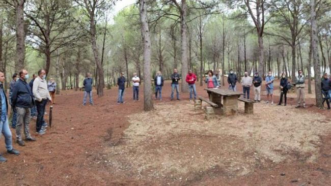 La consulta agricola di Castelvetrano: “Prezzo minimo garantito per le olive per dire no alle speculazioni”