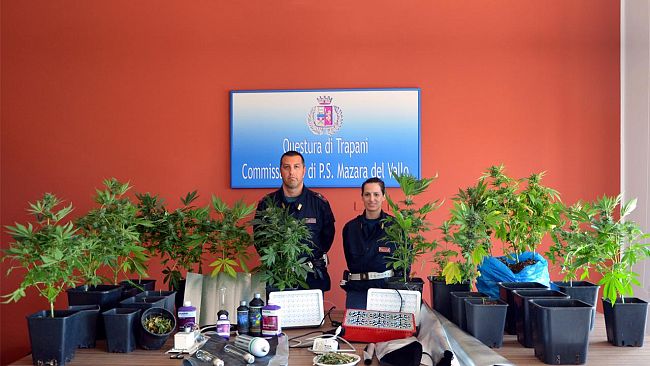 Mazara del Vallo – Arresto in flagranza di un cittadino mazarese per coltivazione e produzione di sostanza stupefacente del tipo marijuana.