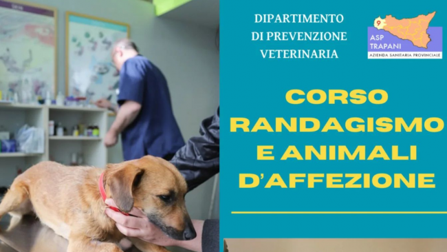 Corso di formazione sul tema del randagismo e degli animali domestici