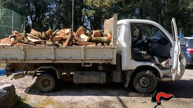 Erice, sorpresi a disboscare e caricare legna: denunciate quattro persone