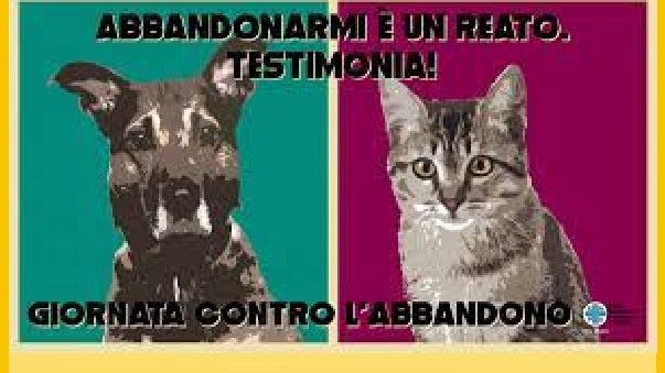 Mazara, 3 e 4 luglio manifestazione al Rifugio per cani di contrada Affacciata