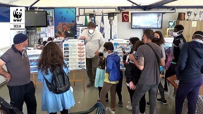 Continua l'azione del WWF Sicilia a tutela delle aree Marine