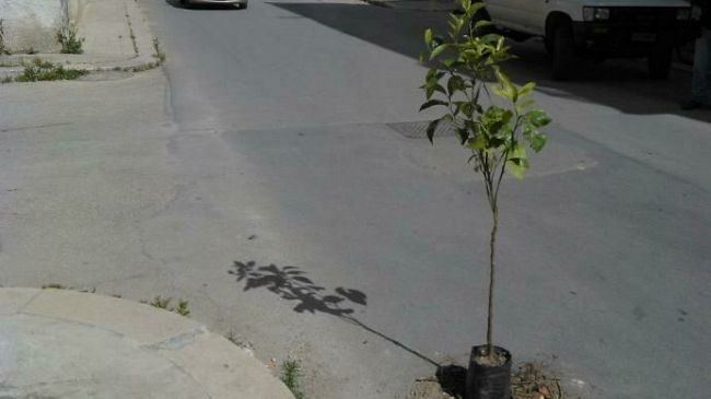 Perchè lamentarsi? Le buche in città alimentano la “creatività”