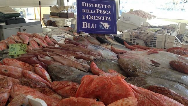 “La Pesca Mediterranea: criticità e prospettive” all’Expo Seafood di Bruxelles