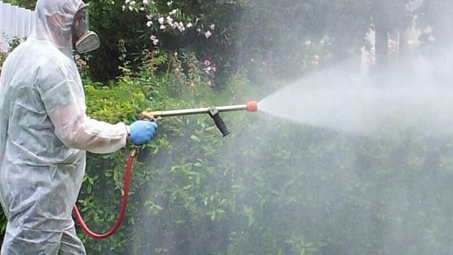Castelvetrano: domani e giovedì la disinfestazione delle borgate