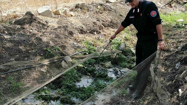 I Carabinieri Forestali traggono il bilancio dei controlli effettuati nel 2020