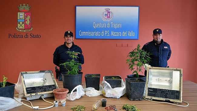 Operazione antidroga con sequestro in appartamento di una serra con 6 piante di marijuana a carico di un cittadino mazarese