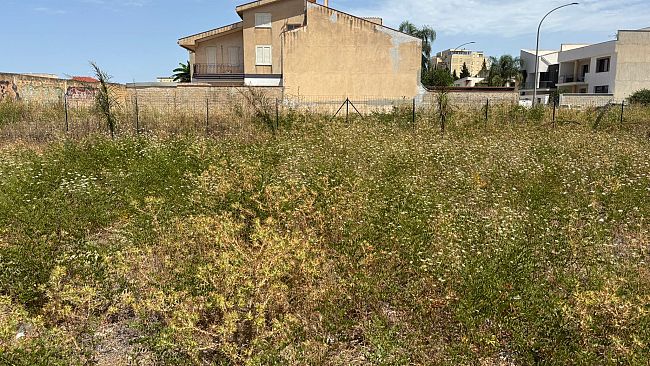 Il gruppo territoriale M5S :